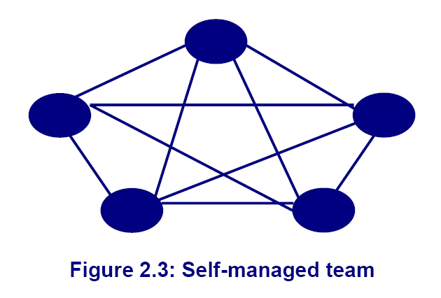 what is a self managed work team